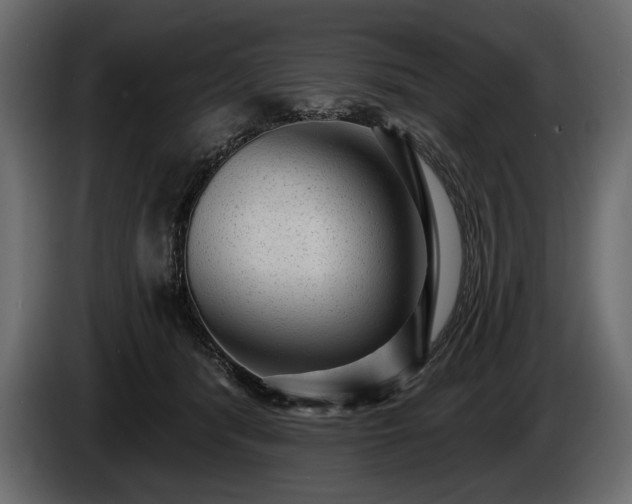 X0000085820416200703231401