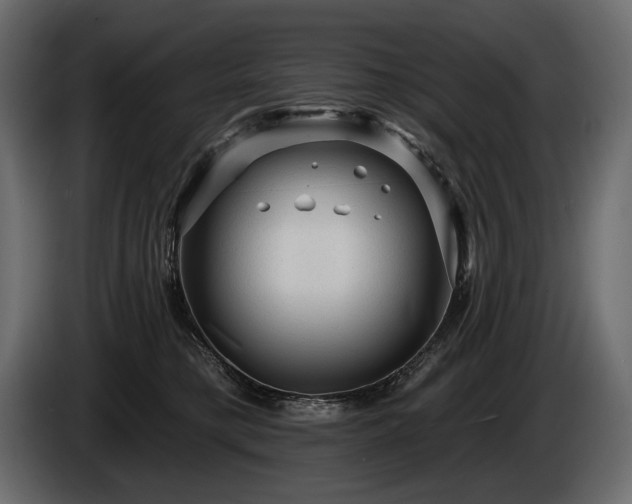 X0000085820421200703231401