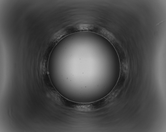 X0000085820422200703231401