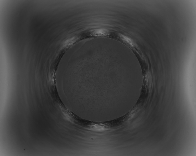 X0000085820423200703231401