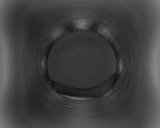 X0000085820424200703231401