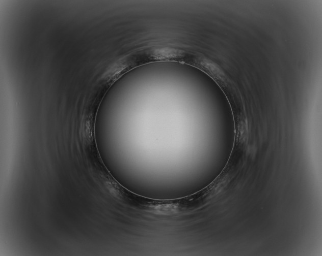 X0000085820426200703231401