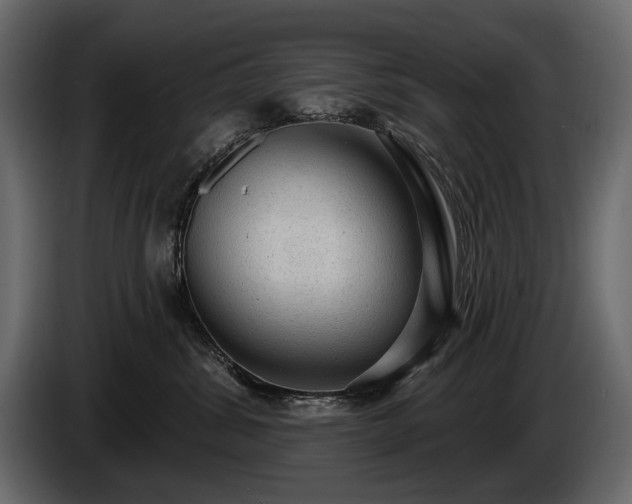 X0000085820428200703231401