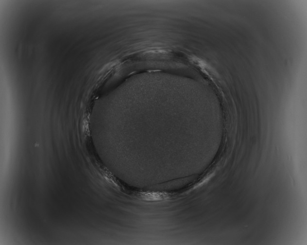X0000085820432200703231401