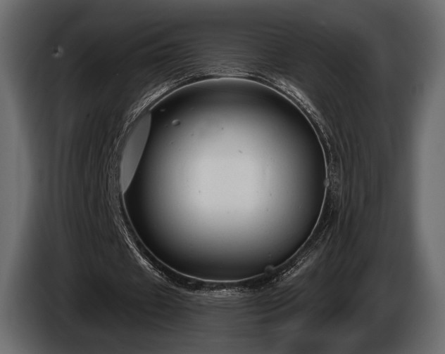 X0000085820433200703231400