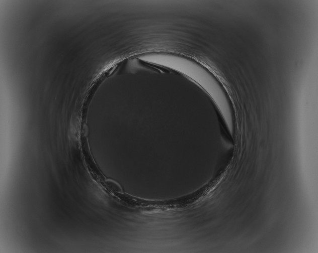 X0000085820434200703231400
