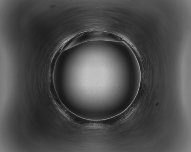 X0000085820437200703231400