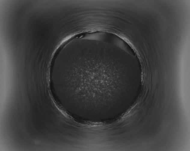 X0000085820438200703231400