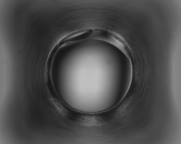 X0000085820439200703231400