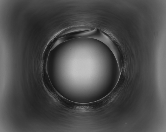X0000085820440200703231400