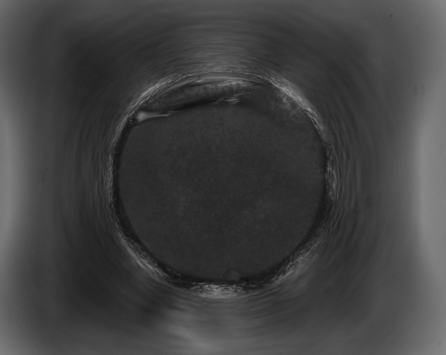X0000085820442200703231400