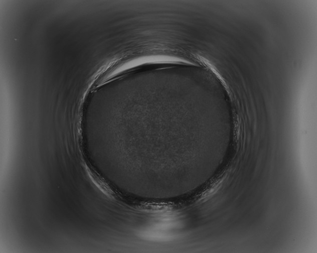 X0000085820443200703231400