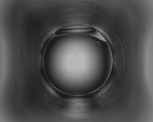 X0000085820445200703231401