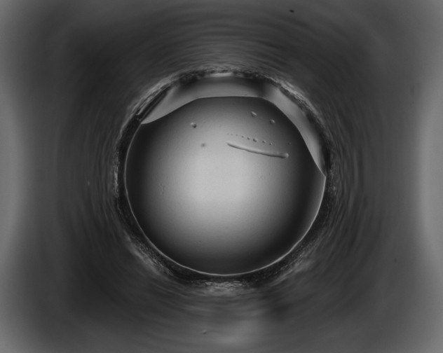 X0000085820446200703231401