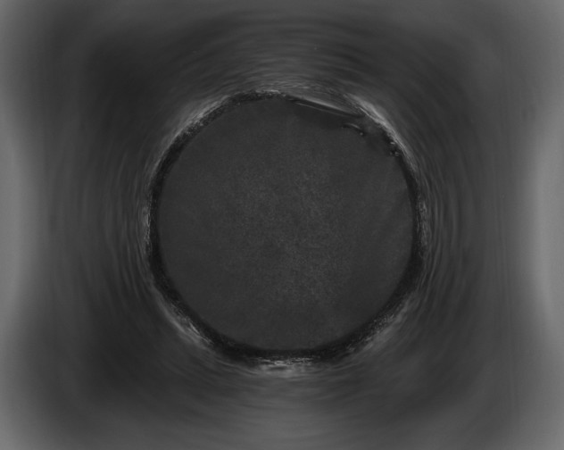 X0000085820447200703231401