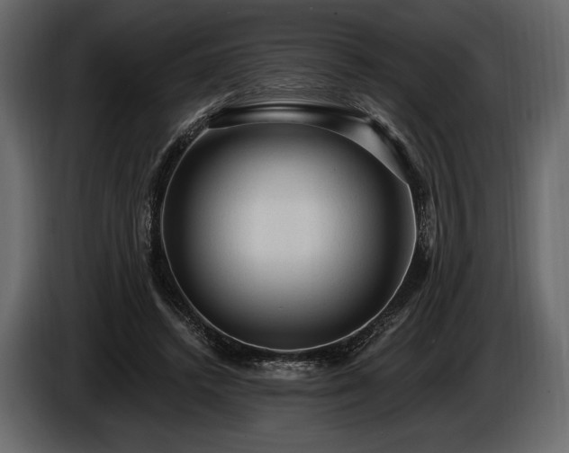 X0000085820448200703231401
