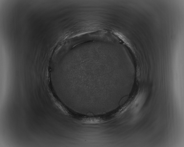 X0000085820449200703231401