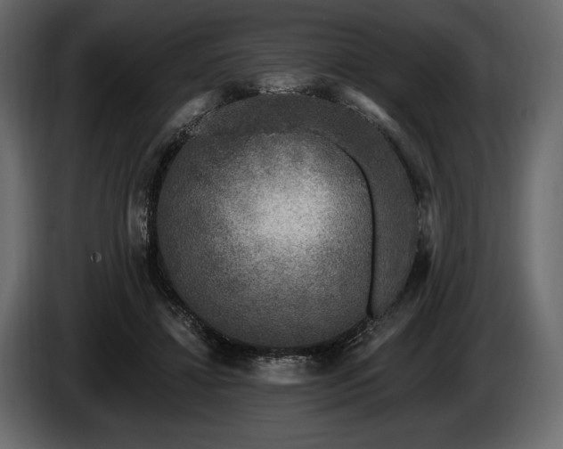 X0000085820452200703231401