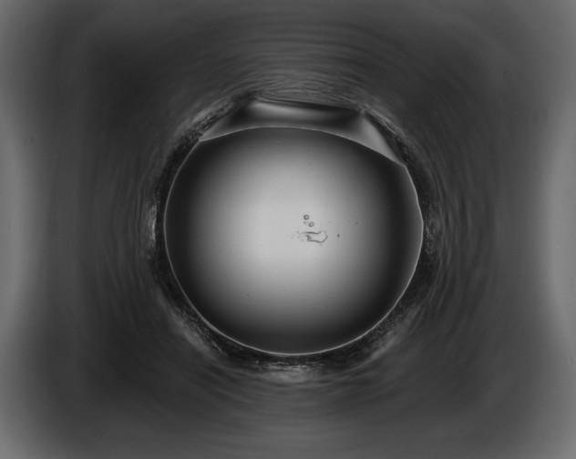 X0000085820454200703231401