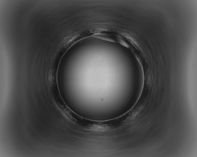 X0000085820455200703231401