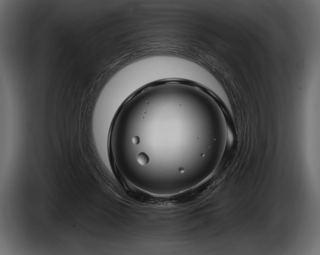 X0000085820456200703231401