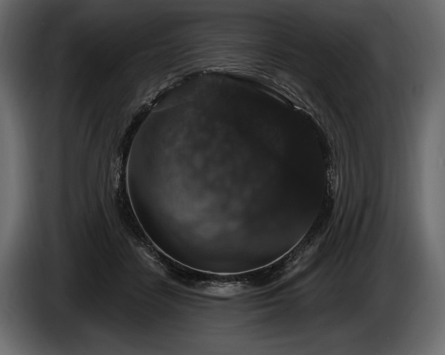 X0000085820458200703231401