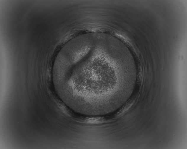 X0000085820461200703231401