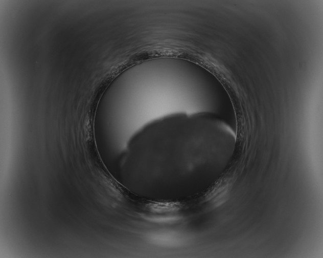 X0000085820465200703231401
