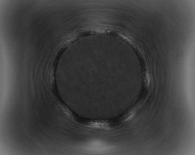 X0000085820466200703231401