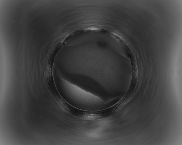X0000085820467200703231401