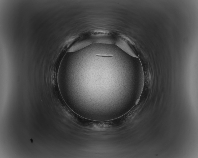 X0000085820470200703231401