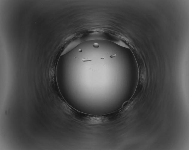 X0000085820473200703231401