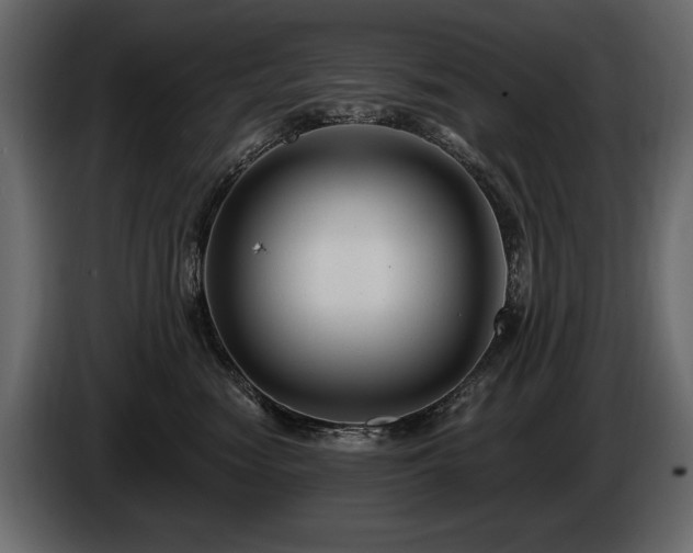 X0000085820474200703231401