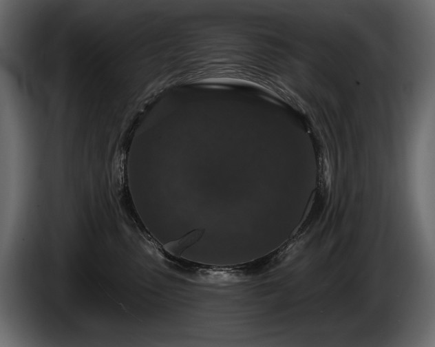 X0000085820475200703231401