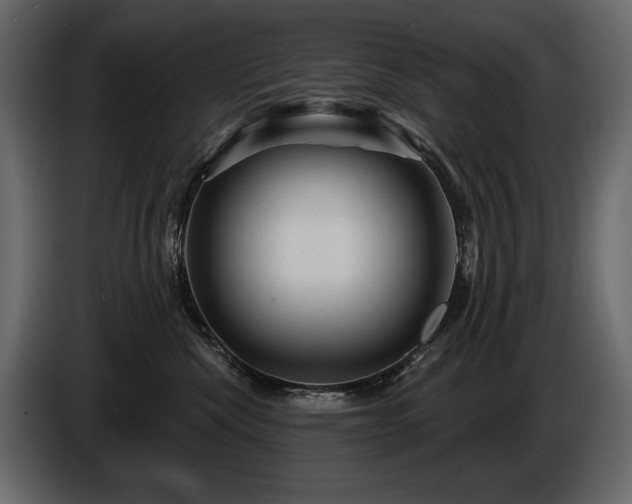 X0000085820476200703231401