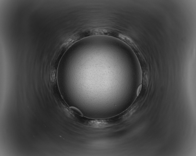 X0000085820477200703231401