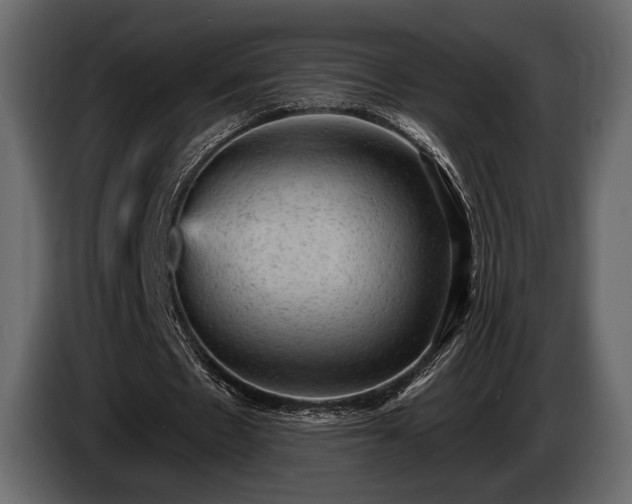 X0000085820481200703231400