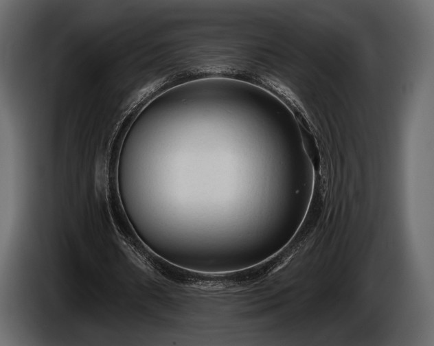 X0000085820482200703231400