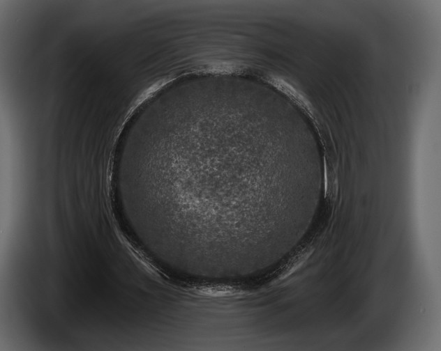 X0000085820483200703231400