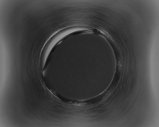 X0000085820484200703231400