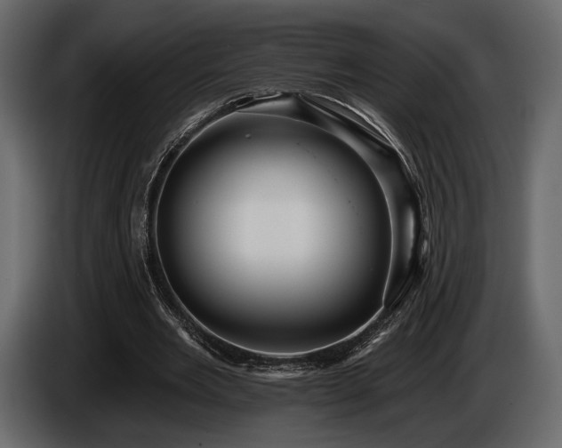 X0000085820485200703231400