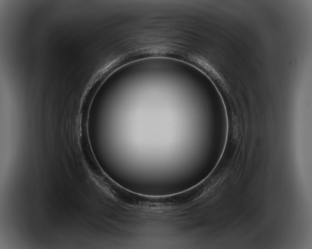 X0000085820486200703231400
