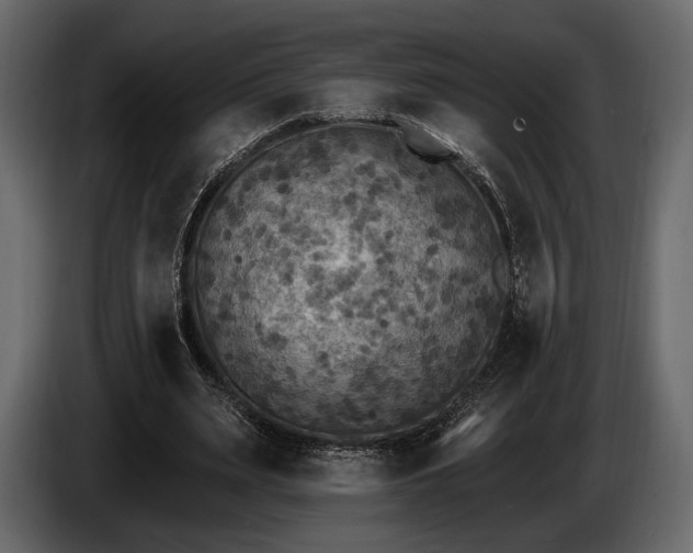 X0000085820487200703231400