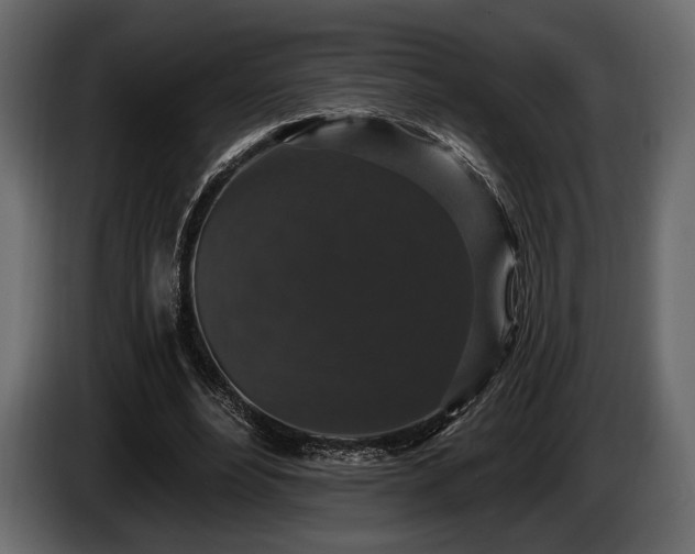 X0000085820488200703231400