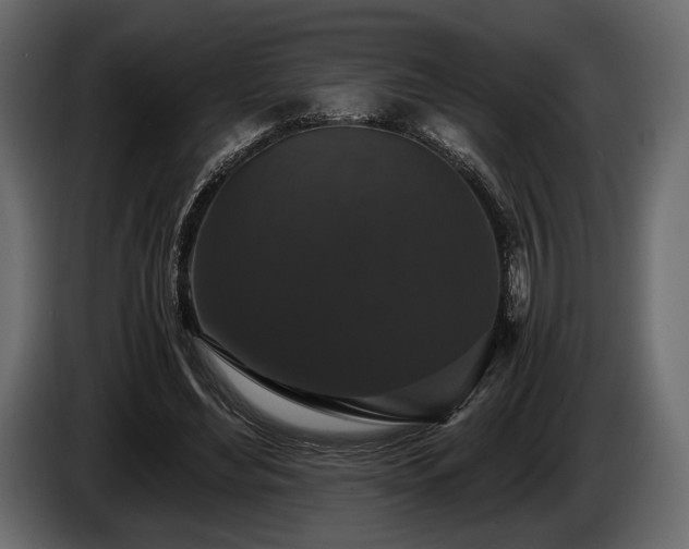 X0000085820492200703231400