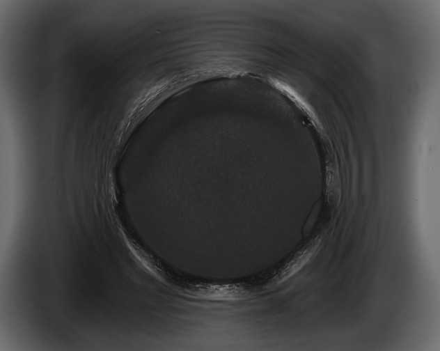 X0000085820493200703231400