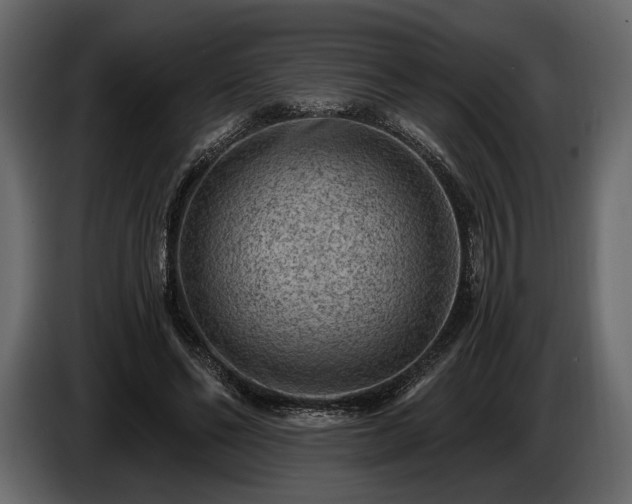 X0000085820494200703231400