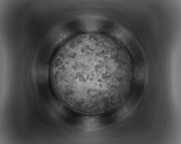 X0000085820495200703231400