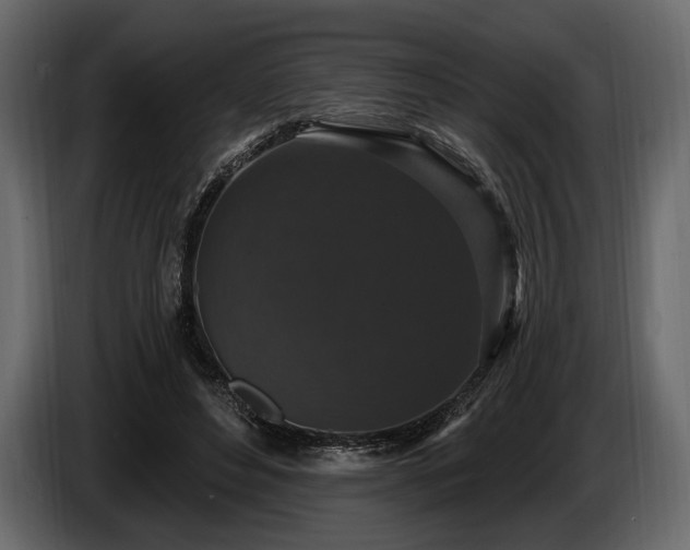 X0000085820496200703231400