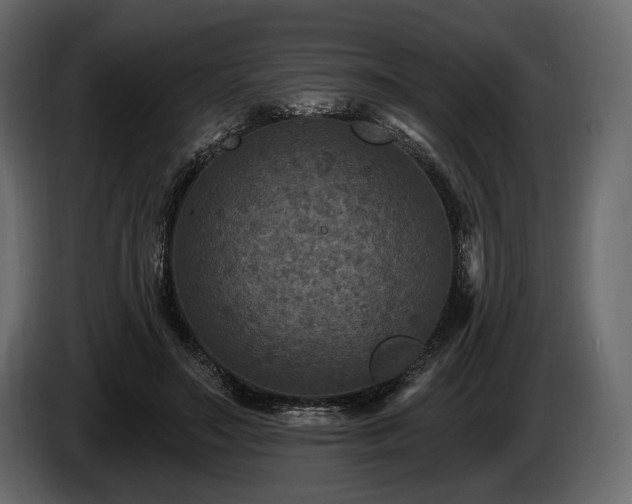 X0000085820499200703231400